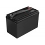 Green Cell CAV13 batteria per veicolo Litio Ferro Fosfato (LiFePo4) 125 Ah 12,8 V Nautica/Tempo libero