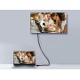 Equip 119333 cavo DisplayPort 3 m Nero (119333)