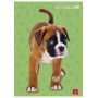 CF10 MAXI D.CUCCIOLI 42FF 0B F.TOA4 (02330170C)