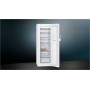 Siemens GS29NEWEV Congelatore verticale
