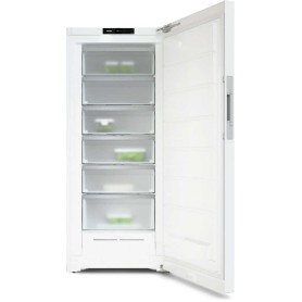 Miele FN 4849 C ws (bianco) Congelatore indipendente