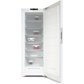 Miele FN 4879 C ws (bianco) Congelatore indipendente (FN 4879 C)