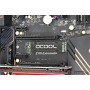 Alphacool HDX - M.2 SSD M01 Circuiti integrati Radiatore Nero (11310)