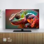 Panasonic Smart TV LED HD serie S50 con Premium Fire TV (TV-32S50AEZ)
