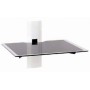 Erard AMER035490 (AMER035490)