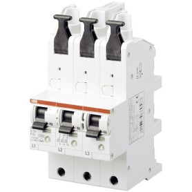 ABB 2CDS781001R4202 interruttore automatico Interruttore scatolato