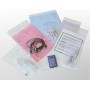 Willchip TG100150 busta Trasparente (TG100150)