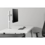Neomounts by Newstar Select Supporto da scrivania per monitor (NM-D135WHITE)
