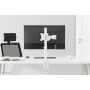 Neomounts by Newstar Select Supporto da scrivania per monitor (NM-D135WHITE)