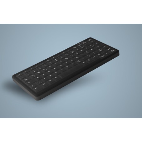 Active Key AK-C4110 tastiera Industriale USB Inglese US Nero (AK-C4110F-U1-B/US)