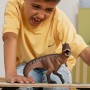 Schleich Dinosaurs 15010 action figure giocattolo (15010)