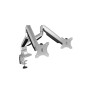 ICY BOX IB-MS504-T 81,3 cm (32") Morsa Nero, Argento (60181)