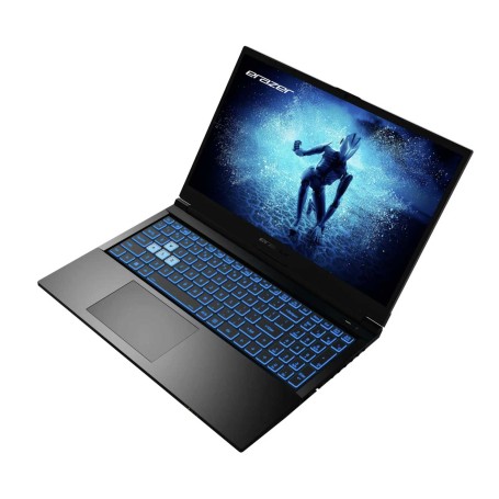 Erazer Deputy P60 MD62705 i9-13900H 16 GB/1 TB SSD 15,6" FHD RTX 4070 W11H (30039216)