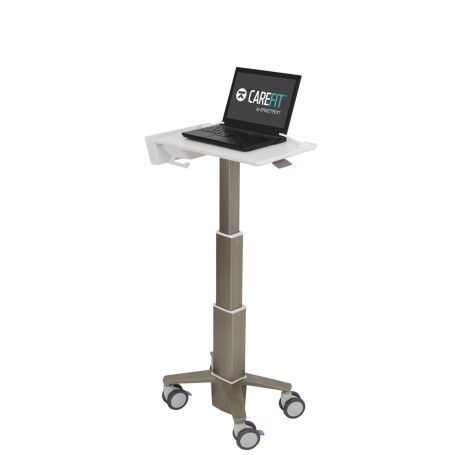 Ergotron C50-1100-0 supporto per notebook 39,6 cm (15.6") Supporto per computer portatile Grigio (C50-1100-0)