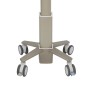Ergotron C50-1100-0 supporto per notebook 39,6 cm (15.6") Supporto per computer portatile Grigio (C50-1100-0)