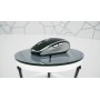 CHERRY MW 8C ADVANCED mouse Ambidestro RF senza fili + Bluetooth Ottico 3200 DPI (JW-8100)