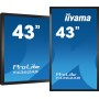 iiyama T4362AS-B1 visualizzatore di messaggi Pannello piatto interattivo 108 cm (42.5") IPS 500 cd/m² 4K Ultra HD  (T4362AS-B1)