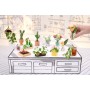 Miniverse Make It Mini Botanicals (540182-EUC)