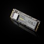 Premium 1 TB (PCIe 3.0 x4, NVMe 1.3, M.2 2280) (3835460)