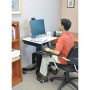 Ergotron WorkFit-C, Single HD Sit-Stand Workstation Nero, Grigio Carrello multimediale (24-216-085)