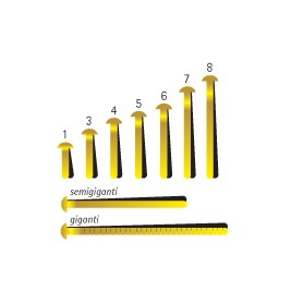 Molho Leone Cometa 8 fermacampioni 100 pz (51158)