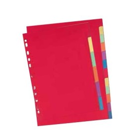 Elba 100204883 divisore Cartoncino Multicolore 6 pz (100204883)