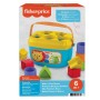 Fisher-Price Blocchi Assortiti (FFC84)