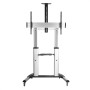 ROLINE 17031261 Supporto TV a parete 2,54 m (100") Argento (RO17.03.1261)