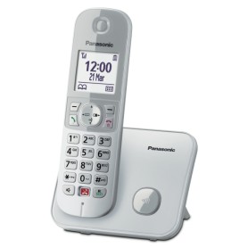Panasonic KX-TG6851JTS telefono Telefono DECT Identificatore di chiamata Argento (KX-TG6851JTS)