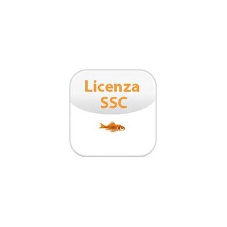 SOFTWARE SERVICE CREDIT (02-00023-002)