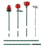 TBD-ICONS-BOTANICALS-1-2024 (10328)
