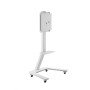 Hagor ST SA Flip II 165,1 cm (65") Bianco (5788)