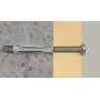 Dbel SX Plus 6x30 PH TX (hellgrau, 100 Stck, mit TORX-Schraube) (567935)