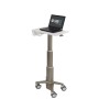 Ergotron C50-1100-0 supporto per notebook 39,6 cm (15.6") Supporto per computer portatile Grigio (C50-1100-0)