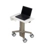 Ergotron C50-1100-0 supporto per notebook 39,6 cm (15.6") Supporto per computer portatile Grigio (C50-1100-0)