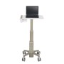 Ergotron C50-1100-0 supporto per notebook 39,6 cm (15.6") Supporto per computer portatile Grigio (C50-1100-0)