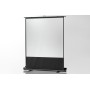 Celexon 1090363 schermo per proiettore 1:1 (1090363)