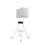 Hagor 8232 supporto da tavolo per Tv a schermo piatto 139,7 cm (55") Bianco (8232)