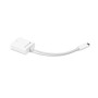 OWC NWTADPTCDP14 cavo e adattatore video 0,108 m USB tipo-C DisplayPort Bianco (NWTADPTCDP14)