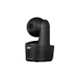AVer DL10 2 MP Nero 1920 x 1080 Pixel 60 fps CMOS 25,4 / 2,8 mm (1 / 2.8") (61S9000000AD)