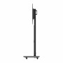 Pro-Tower M Dual (schwarz) (2877)