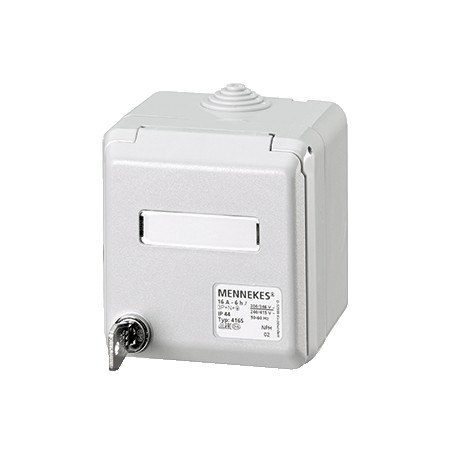 MENNEKES 4165 presa energia Grigio