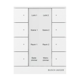 Busch-Jaeger 2098 UNI non classificato (2CKA006220A0886)