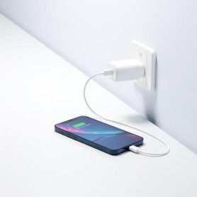 20W USB-C PD DUAL PORT WALL CHARGER (CY3624PDWCH)