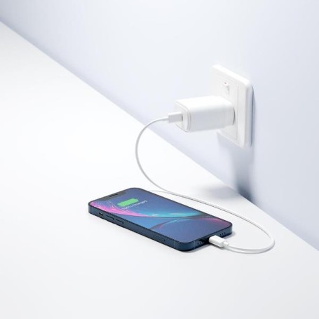 20W USB-C PD DUAL PORT WALL CHARGER (CY3624PDWCH)