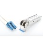 Digitus (DN-81001)