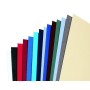 GBC Copertine rilegatura LeatherGrain 250 gsm bianche (100) (CE040070)