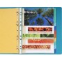 Exacompta 2412E divisore Multicolore (2412E)