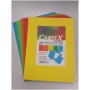 Blasetti 615 cartella Carbonio Arancione A4 (615)
