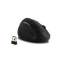 Kensington Mouse wireless Pro Fit® Ergo per mancini (K79810WW)